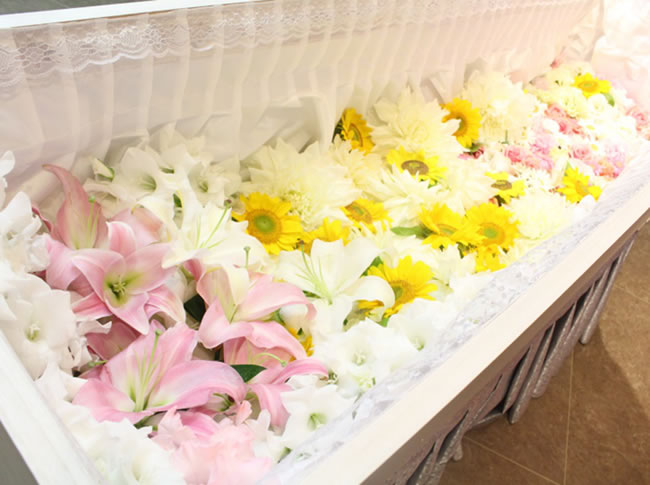 ファミリーホール港南台、花いっぱい火葬プラン209,000円